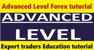 Advanced level, Expert traders, 5 years+ experience Forex trading tutorial