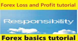 Your profit & loss is your own responsibility in Forex trading business