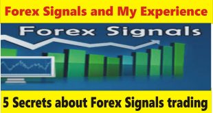 My experience about Using Forex Trading signal services in Hindi Urdu