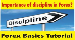 Importance of discipline in Forex trading business Urdu Tutorial