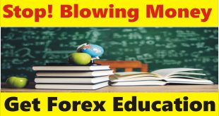 Stop! Blowing Money and Get Forex Trading Education