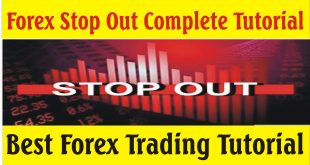 What is 50%, 30% or 15% Stop out in Forex Trading Business