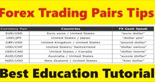 Trading Pairs Tips, Fast Moving Pairs vs Slow Pairs trading tutorial by Tani