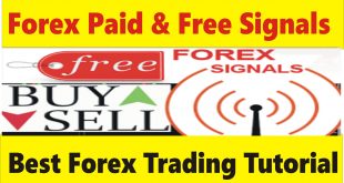 Forex Paid and Free Signals, Tani Fx Signal Review in Urdu and Hindi by Tani Forex.