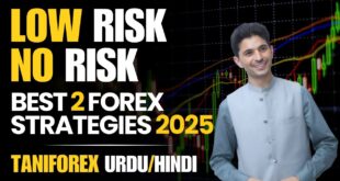 Top 2 Forex Strategies 2025 | Tani Trading No loss strategy In Urdu and Hindi for beginners