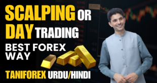 Scalping or Day Trading? Tani Forex most Profitable Tutorial for beginners in Urdu and Hindi