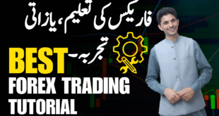 Is Forex Trading Learning, Education or only experience? Tani basics in Urdu and Hindi for beginners