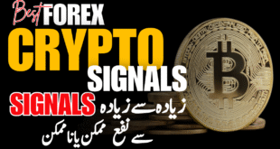Best Forex and Crypto trading signals for maximum Profit | Tani Forex Signal tutorial in Urdu Hindi