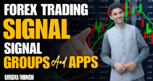 Forex Trading Signals groups and Apps | Tani Forex review in Urdu and Hindi for beginners traders