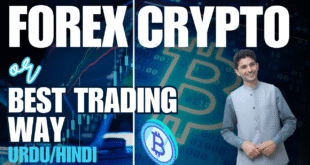 Currencies, Crypto or Gold best pair for trading by Tani Forex in Urdu and Hindi for beginners