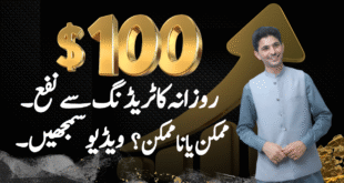 100$ Daily Profit from Crypto and Forex Trading business tutorial in Urdu and Hindi by Tani Forex