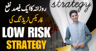 1% Daily Profit, World Best Forex trading low risk strategy 2025 by Tani Forex in Urdu and Hindi