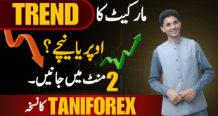 Identify Trading Market Trend | 200 Moving Average Simple Forex and Crypto Plan in Urdu and Hindi