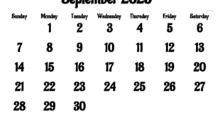 September 2025 signals and results of Tani Forex signal