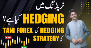 What is Hedging in Forex Trading Business | Tani Forex Hedge strategies in Urdu Hindi 2025