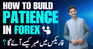 How to build Patience in Forex and Crypto Trading? Tani Forex Pro Level Tutorial in Urdu and Hindi