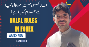 Halal Forex Trading Rules Explained Navigating swap free accounts for Pakistani Muslims traders Tani