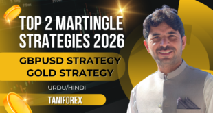 Top 2 Forex trading martingale Strategies of The World | Gold and GBPUSD intraday trading plan Urdu