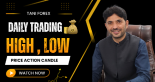 Daily Trading High Low Price Action Candle | Tani forex Special Tutorial for Beginners 2026